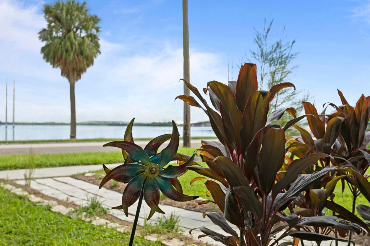 Bayside Safari 1Bed 1 Bath Apartment Tampa Kültér fotó